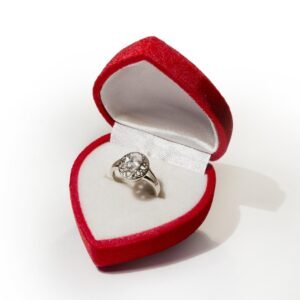 Pandora Silver Ring - Gift Edition